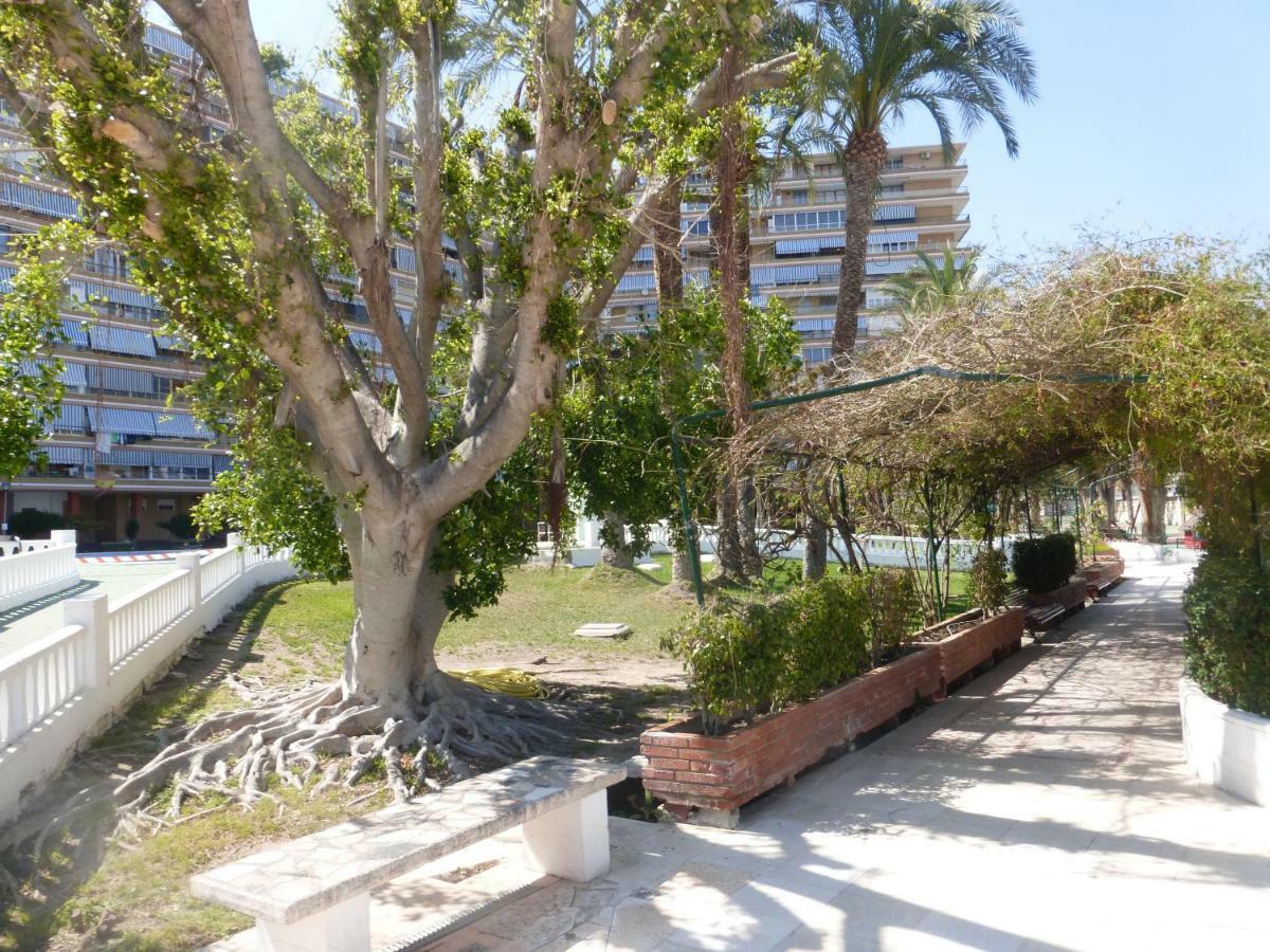 アリカンテFamily And Friends - San Juan Playaアパートメント エクステリア 写真
