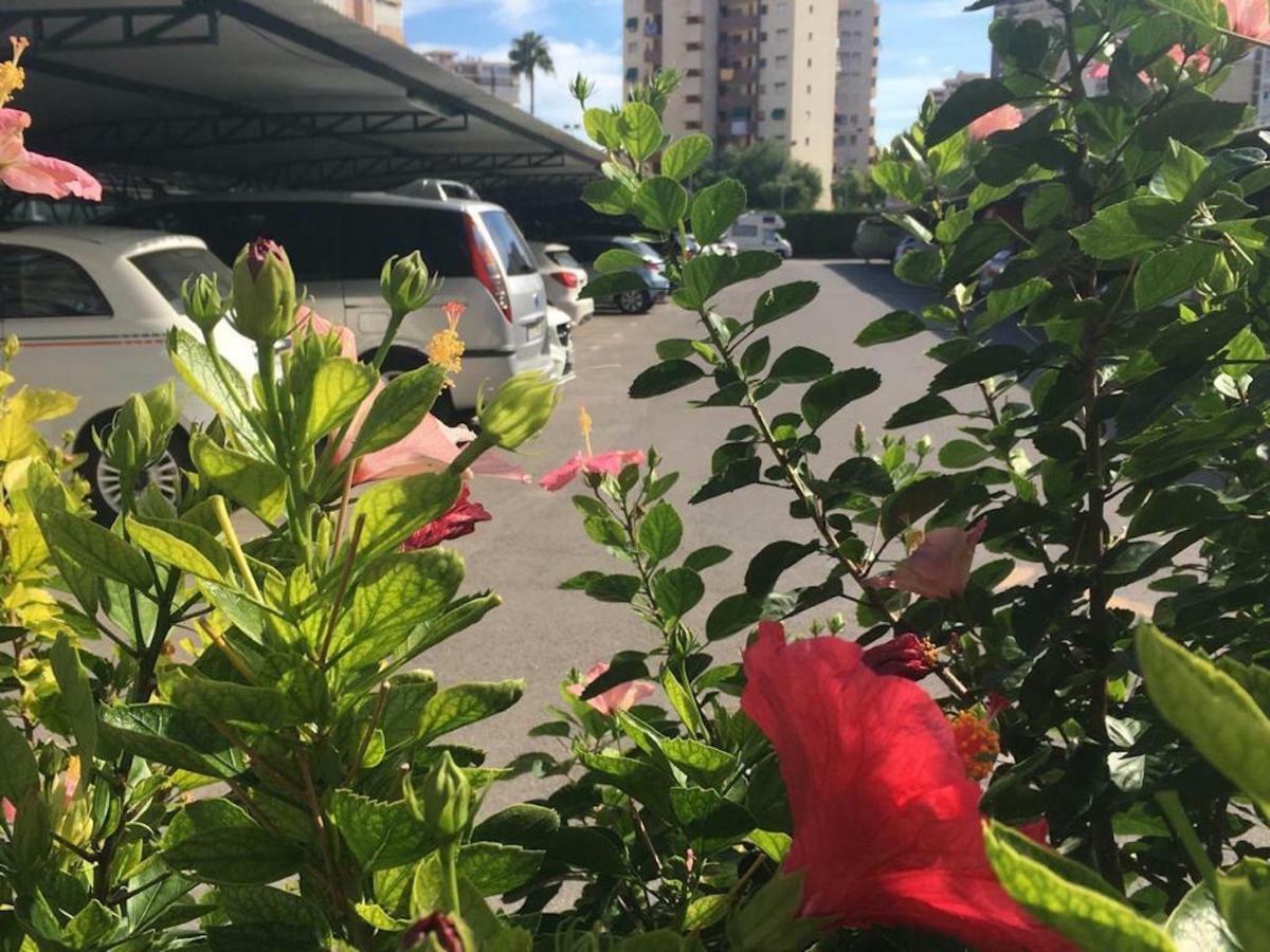 アリカンテFamily And Friends - San Juan Playaアパートメント エクステリア 写真